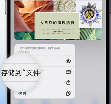 玉山apple维修中心分享iPhone文件应用中存储和找到下载文件