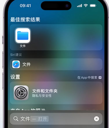 玉山apple维修中心分享iPhone文件应用中存储和找到下载文件 