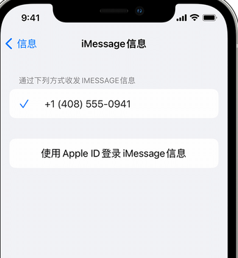 玉山apple维修iPhone上无法正常发送iMessage信息 