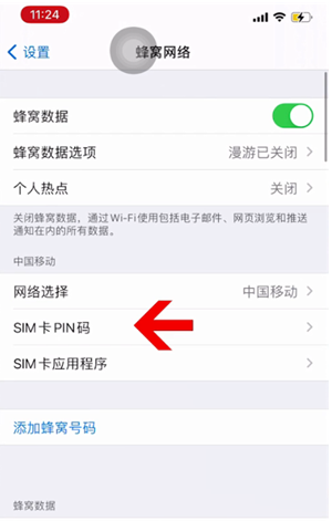 玉山苹果14维修网分享如何给iPhone14的SIM卡设置密码 