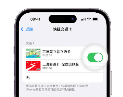 玉山apple维修点分享iPhone上更换Apple Pay快捷交通卡手绘卡面 