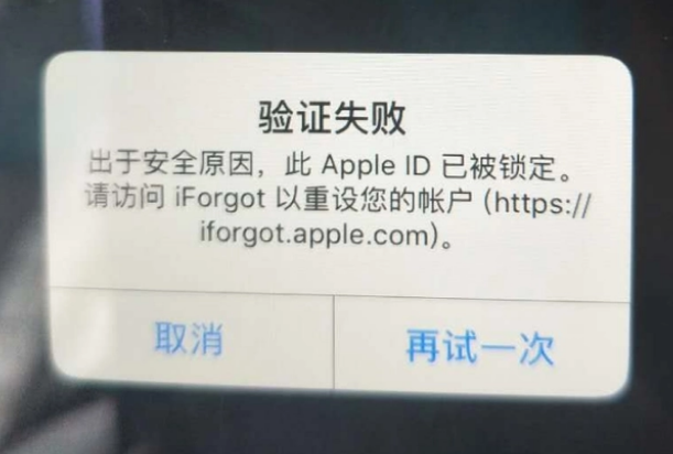 玉山iPhone维修分享iPhone上正常登录或使用AppleID怎么办 