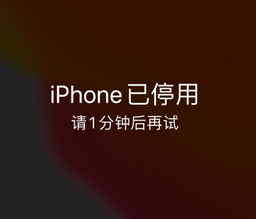 玉山苹果手机维修分享:iPhone 显示“不可用”或“已停用”怎么办？还能保留数据吗？ 