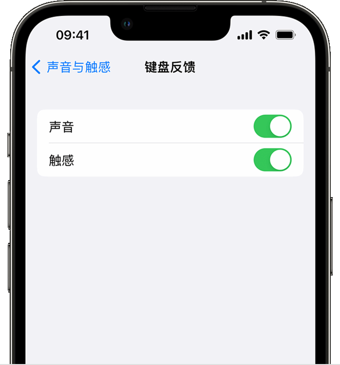 玉山苹果14维修店分享如何在 iPhone 14 机型中使用触感键盘 