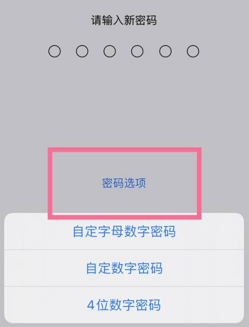 玉山苹果14维修分享iPhone 14plus设置密码的方法 