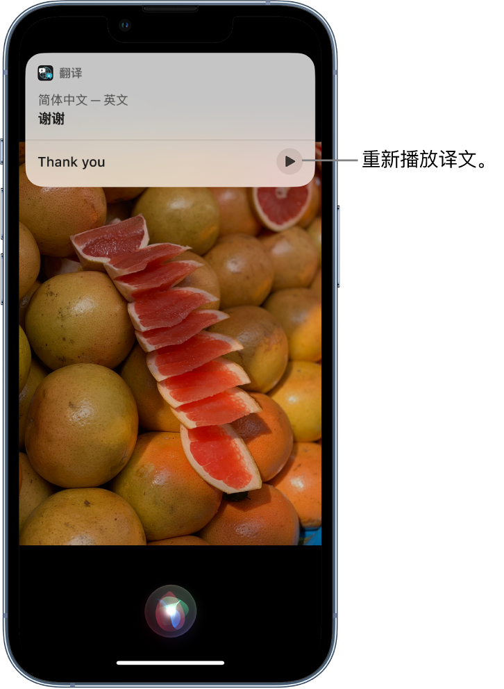 玉山苹果14维修分享 iPhone 14 机型中使用 Siri：了解 Siri 能帮你做什么 