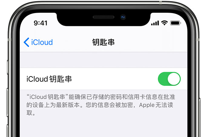 玉山苹果手机维修分享在 iPhone 上开启 iCloud 钥匙串之后会储存哪些信息 