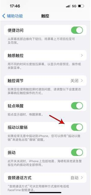 玉山苹果手机维修分享iPhone手机如何设置摇一摇删除文字 